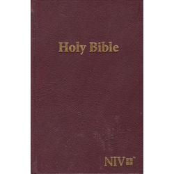 NIV Standard Reference Bible HB (Brown)