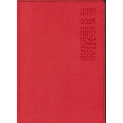 2025 Evoke PU Cover Standard Diary A5 Red