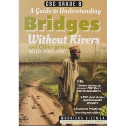 Guide to Understanding Bridges Without Rivers Grade 8