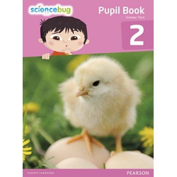 Science Bug Pupil Book Year 2