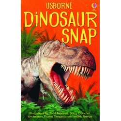 Usborne Dinosaur Snap Cards