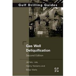 Gas Well Deliquification 2ED (SA)