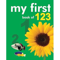 My First book of 123