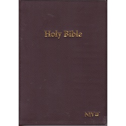 NIV Bible Red Letter SB (Brown)