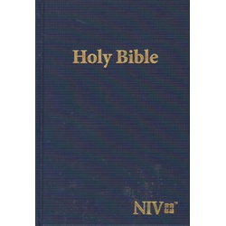 NIV Bible Giant Print H.B (Blue)