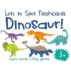 Lots to Spot Flashcards: Dinosaur!