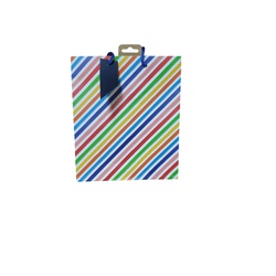 Gift Bag Multicoloured Stripe Medium