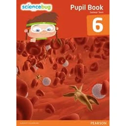 Science Bug Pupil Book 6