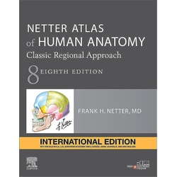 Netter Atlas of Human Anatomy: 8th Edition Classic Regional Approach, International Edition