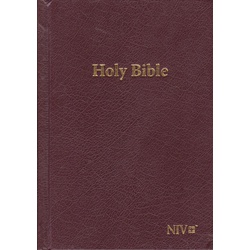 NIV Bible Red Letter H.B (Brown)