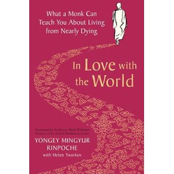 In Love with the World what a Monk can Teach you About Living from Nearly Dying