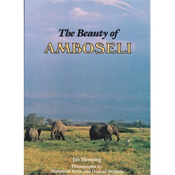The Beauty of Amboseli