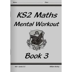 Key Stage 2 Maths Mental Workout Book 3