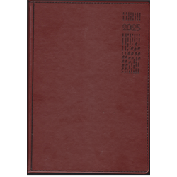 2025 Evoke PU Cover Standard Diary B5 Brown