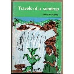 Travels of a raindrop