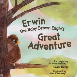 Erwin the Baby Brown Eagle's Great Adventure