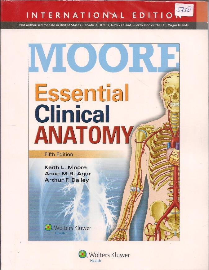 Moore Essential Clinical Anatomy 5th Edition Text Book