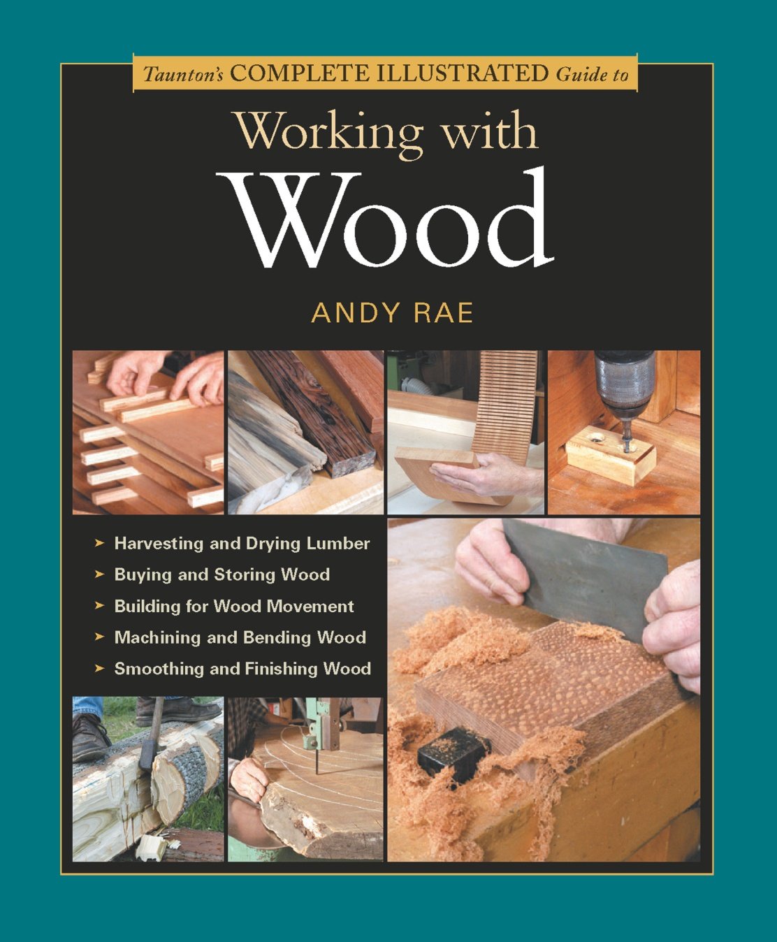 Taunton's Complete Illustrated Guide to Working with Wood ...