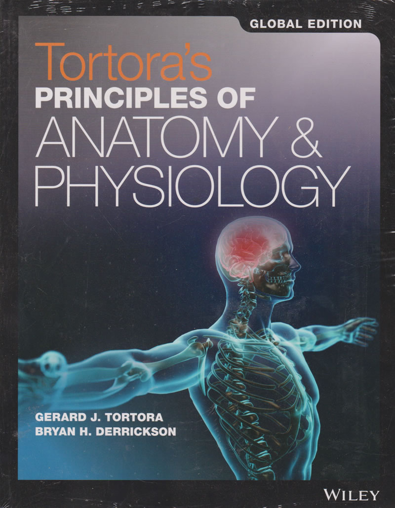 principles of human anatomy tortora pdf free