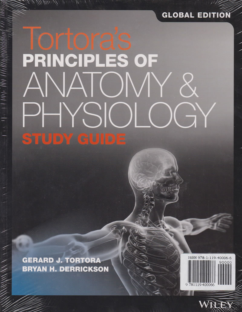 tortora anatomy and physiology pdf 13th edition pdf