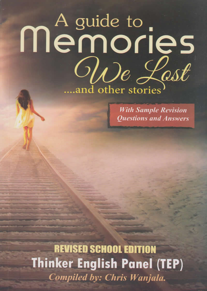 memory we lost essays